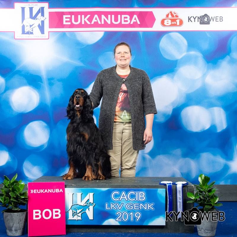 Of The Purple Fallow - Cara wordt BOB op LKV Genk(13/1/2019), Stella 1 VB beste minor puppy e
